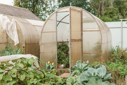 Large greenhouses for growing homemade vegetables. The concept of gardening and life in the country