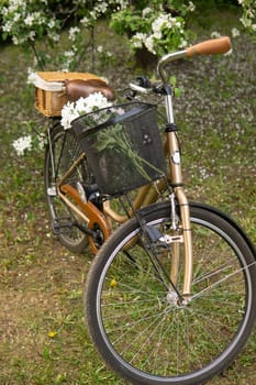 A beautiful retro bike with a wicker basket stands next to a blooming apple tree in the park