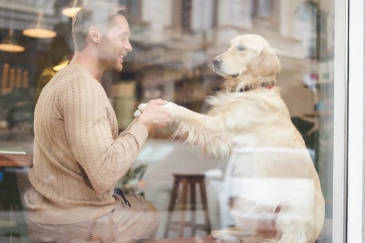 An outdoor shot of a man sitting with his dog in a pet-friendly cafe near window, golden retriever gives paw to visitor.