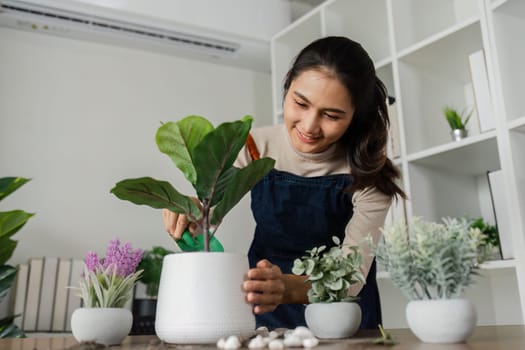 A woman is planting a plant in a white pot. The plant is surrounded by other plants in different pots