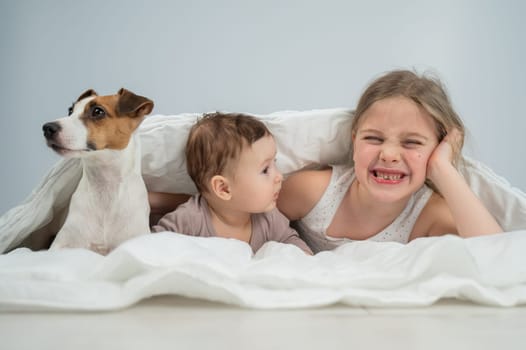 A little girl and her five-month-old brother and Jack Russell Terrier dog lie wrapped in a blanket
