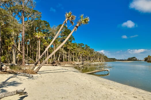 The lagoon area at Hunting Island State Park, SC.