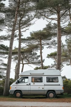 Camping in the forest of the motorhome . Holidays in a camper van.