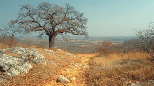 A lonely tree in autumn.