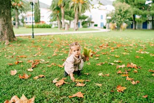 Little girl collects a bouquet of yellow leaves crouching on the lawn near the house. High quality photo