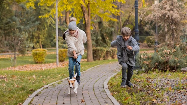 Brother and sister walk the dog in the park in autumn. Boy and girl running with jack russell terrier on a leash