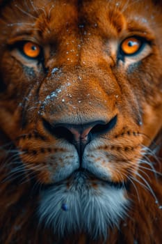 Portrait of a lion's muzzle in close-up. The Lion's head.