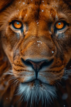 Portrait of a lion's muzzle in close-up. The Lion's head.