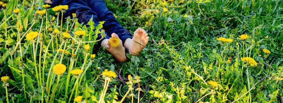 children's feet on the background of dandelions. nature