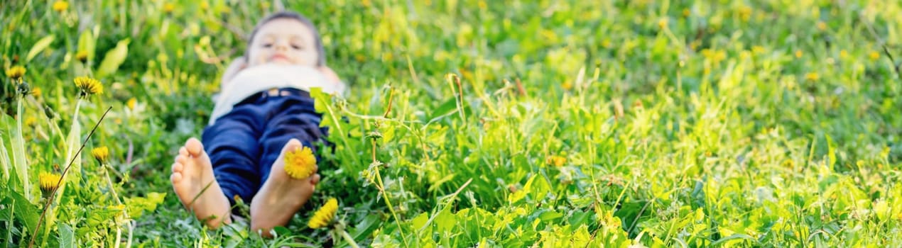 children's feet on the background of dandelions. nature