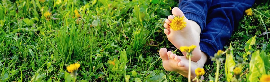 children's feet on the background of dandelions. nature
