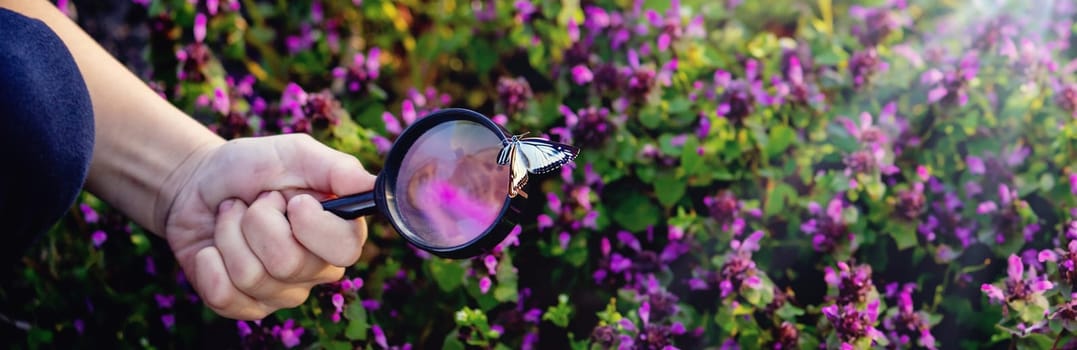 A child looks through a magnifying glass. A big child's eye