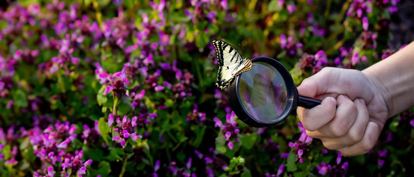 A child looks through a magnifying glass. A big child's eye