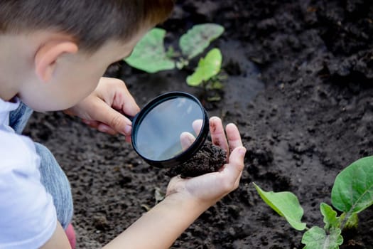 A happy child is looking into a magnifying glass, enjoying a sunny day in summer