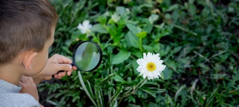 A happy child is looking into a magnifying glass, enjoying a sunny day in summer