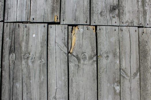 Old wood texture, vintage natural background. Gray color