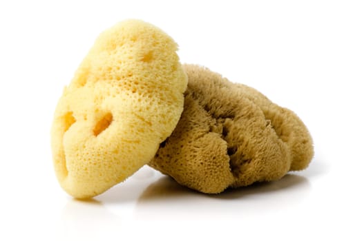 The fine silk natural bathing sea spong isolated over white background. Bath sponge for babies.