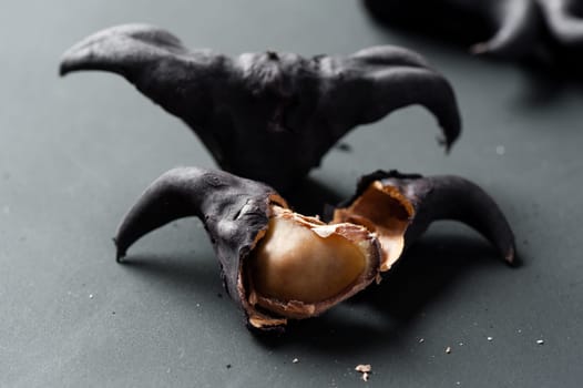 Water caltrop on a black background, Water Chestnut, Trapa natans