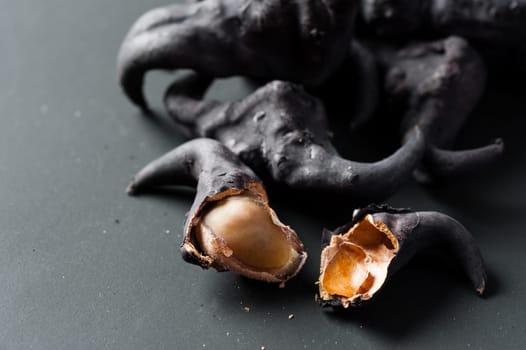 Water caltrop on a black background, Water Chestnut, Trapa natans