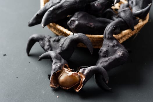 Water caltrop on a black background, Water Chestnut, Trapa natans