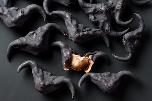 Water caltrop on a black background, Water Chestnut, Trapa natans