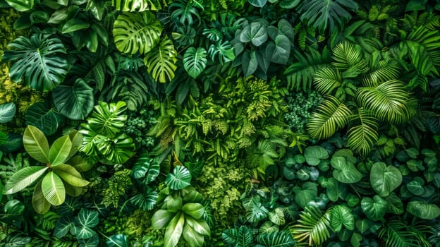 Full frame of assorted tropical leaves in various shades of green