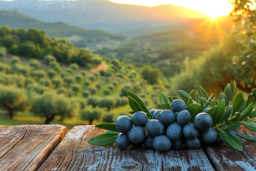 still life with blue olives on a table in an olive grove.