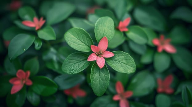 A close up of a small green flower with pink petals