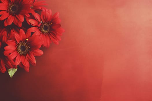 Vibrant red gerbera daisies on a textured ruby background.