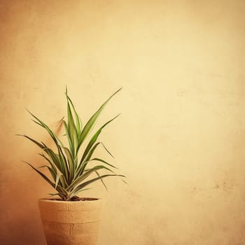 A potted plant against a textured beige wall.