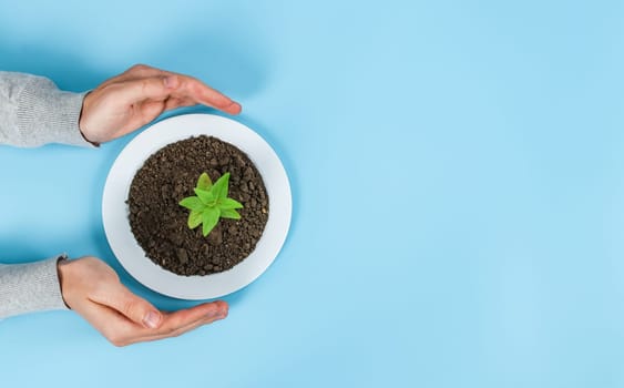 The hands of a young Caucasian man clasp a plastic plate with soil and a green sprout on the left on a pastel blue background with copy space on the right, close-up, flat lay closeup. The concept is environmentally friendly, sorting and recycling waste, protecting nature.