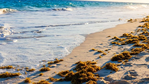 Horseshoe Bay Beach and Deep Bay Beach in Hamilton, Bermuda