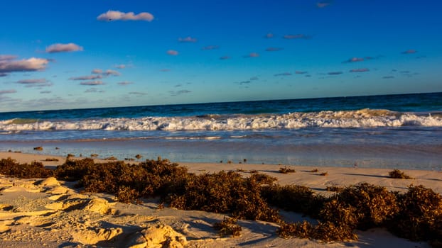 Horseshoe Bay Beach and Deep Bay Beach in Hamilton, Bermuda