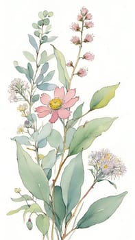 Watercolor illustration of wildflowers and eucalyptus branches.Eucalyptus branch with flowers and leaves. Watercolor floral background with flowers and leaves. Computer drawn illustration.