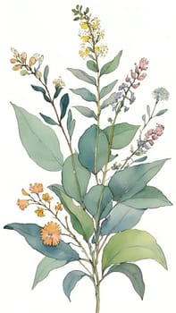 Watercolor illustration of wildflowers and eucalyptus branches.Eucalyptus branch with flowers and leaves. Watercolor floral background with flowers and leaves. Computer drawn illustration.