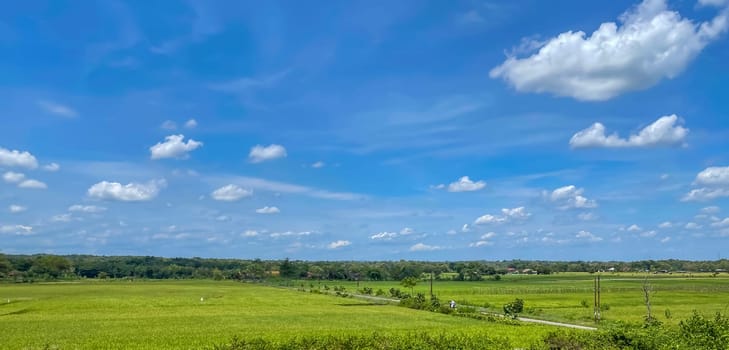 beautiful view of landscape and green view with blue sky and white cloud natural view and green fields