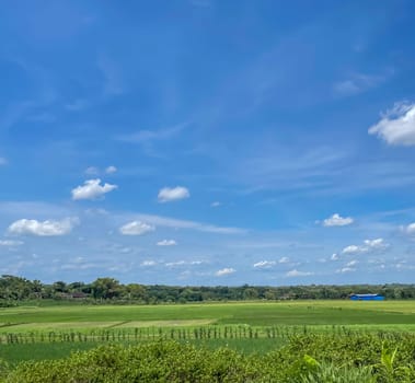 beautiful view of landscape and green view with blue sky and white cloud natural view and green fields