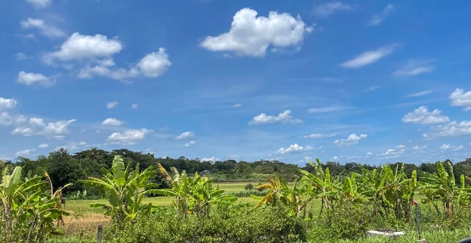 beautiful view of landscape and green view with blue sky and white cloud natural view and green fields