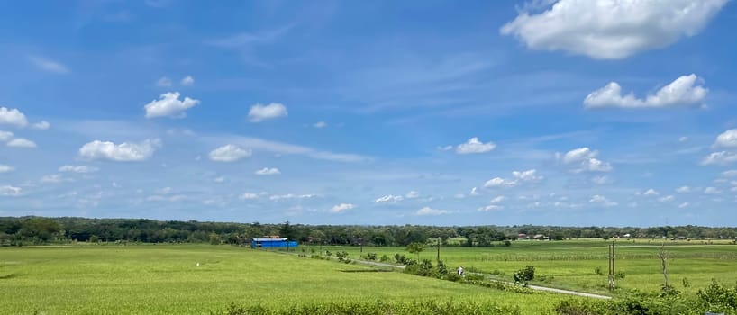 beautiful view of landscape and green view with blue sky and white cloud natural view and green fields