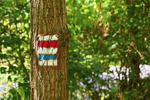 Tourist sign on a tree. Unique color marking of tourist routes in the Czech Republic.