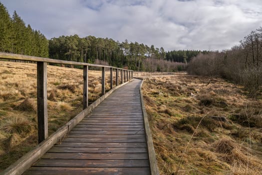 Panorama image of landscape close to Dahlem, Eifel, North Rhine Westphalia, Germany