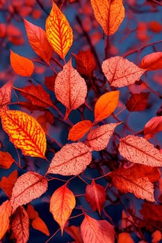 Autumn Elegance. Rich colors and textures of fall foliage at sunset, capturing the intricate details of individual leaves as they glow in the fading light of the day.