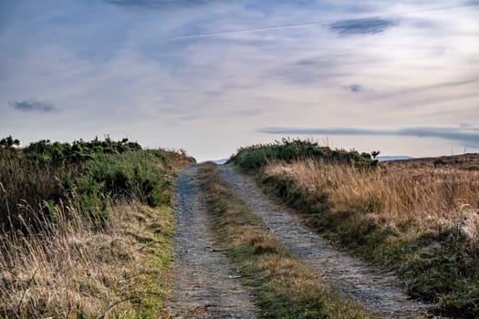 The bog road to the Loughderryduff windfarm is producing between Ardara and Portnoo.