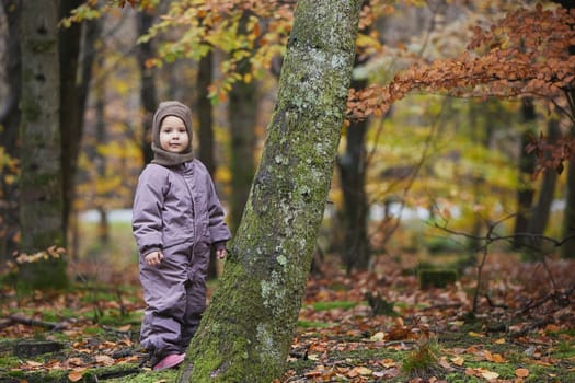 Beautiful child in the forest in Denmark.