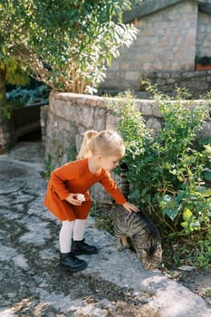 Little girl strokes a tabby cat while standing in the courtyard of a house. High quality photo