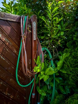 Hose hanging over wooden garden fence.