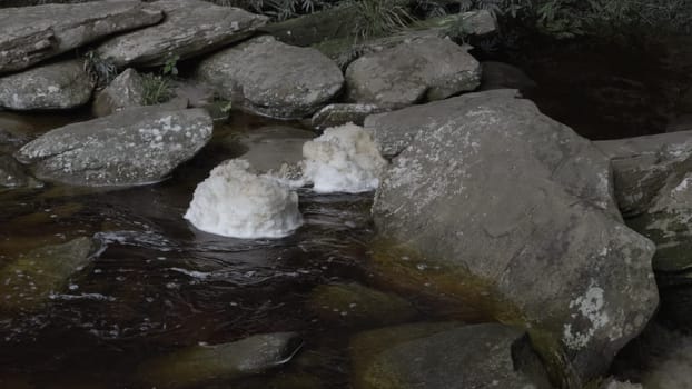 A large rock sits amid swirling foam in a river within a forest on a sunny summer day.