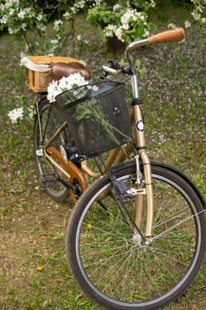 A beautiful retro bike with a wicker basket stands next to a blooming apple tree in the park