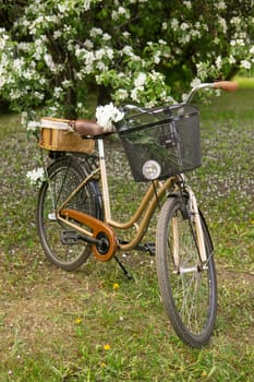 A beautiful retro bike with a wicker basket stands next to a blooming apple tree in the park