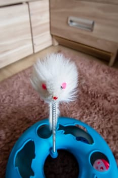 Mouse and Ball Cat Toy on carpet close up